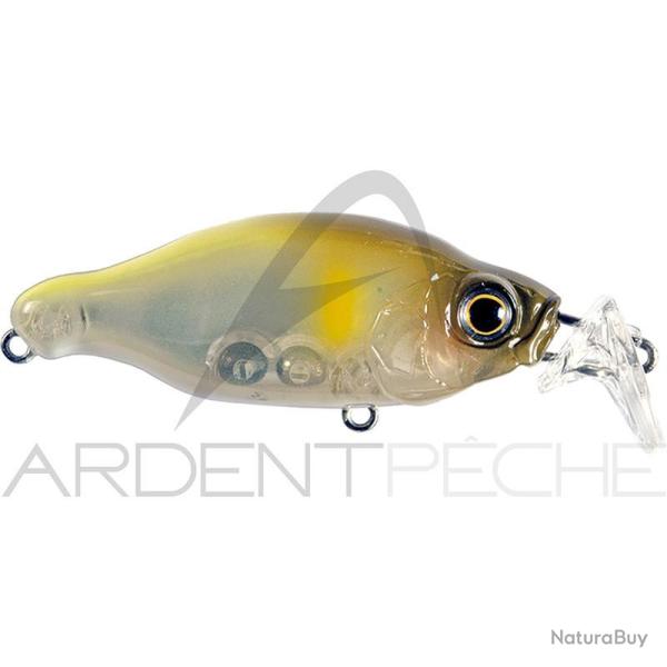 Poisson nageur GAN CRAFT Bacra SR 13 Gm chart