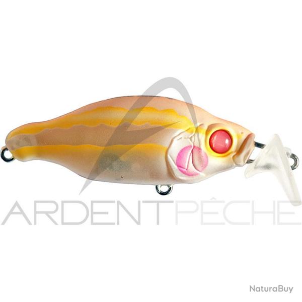 Poisson nageur GAN CRAFT Bacra SR 19 Oyakata arbino