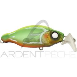 Poisson nageur GAN CRAFT Bacra SR 24 Chartback ugande mt