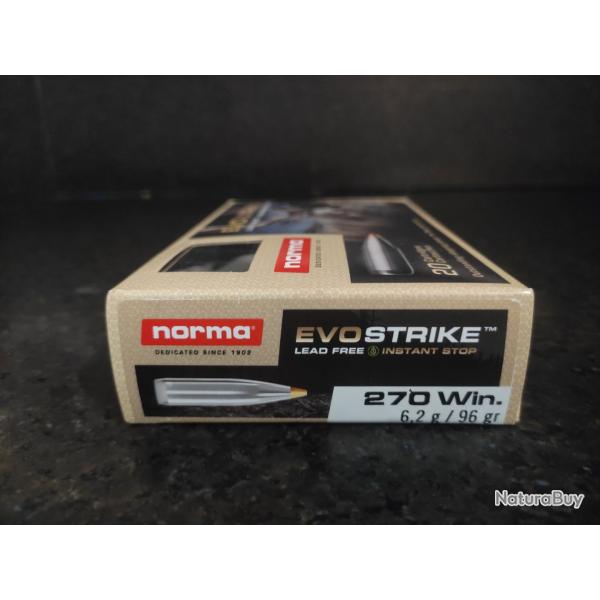 Norma evostrike 270 win 96 grains 6.2g