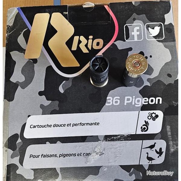 RIO PACK PIGEON 36G X 100