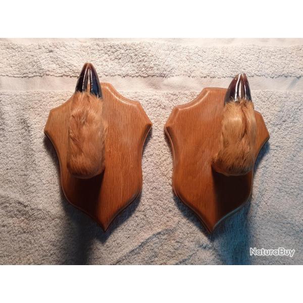 Porte fusil pied de chevreuil  N A