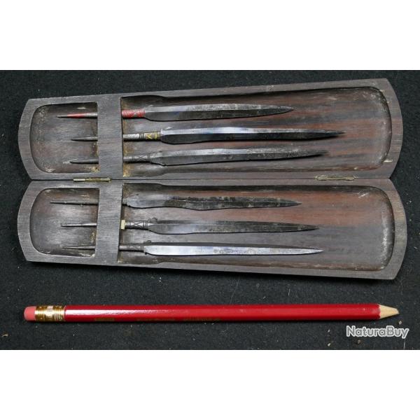 TAJIS de Sulawesi (Indon�sie)