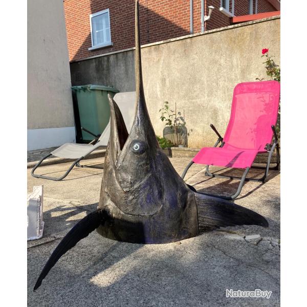 Espadon voilier naturalis� ,t�te et queue