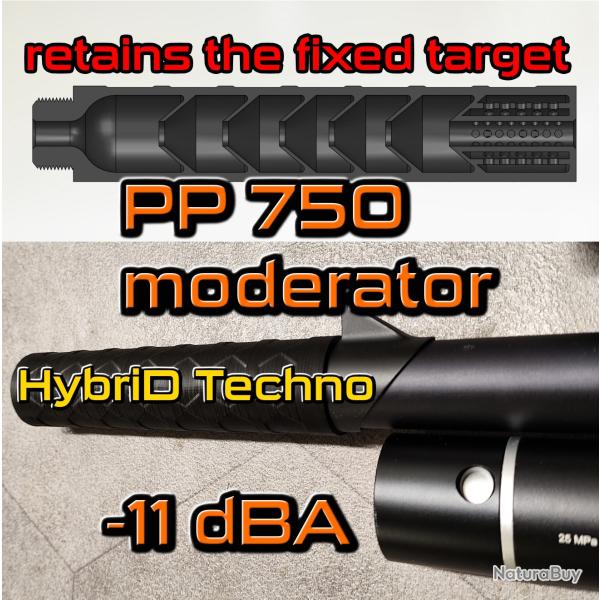 reducteur de son silencieux pp 750 artemis snowpeak pp750