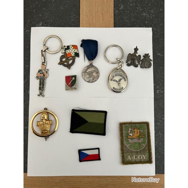 Insignes ( Rhin et Danube, g�nie) , portes clefs para au famas, BA 109, pin's aigle, m�daille,patch