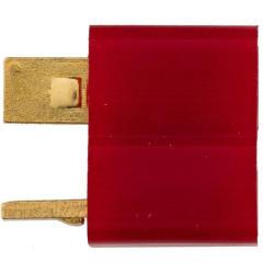 FICHE T-DEANS FEMELLE DOUBLE EAGLE