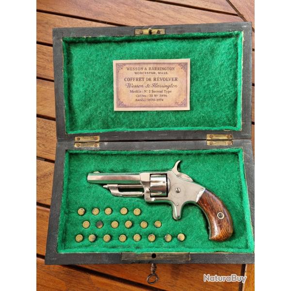 Wesson&Harrington 22 short