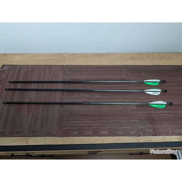 3 Fl�ches sp�ciales pour arbal�te Airbow Pioneer