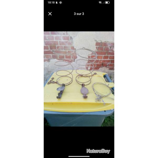 Pi�ges � lacet Godwin