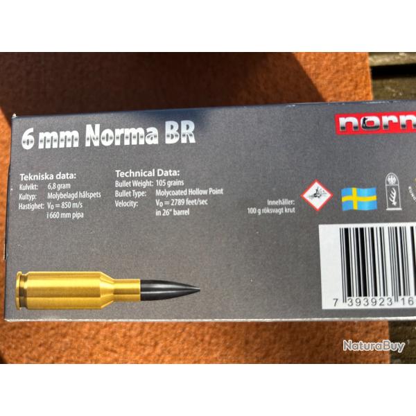 100 cartouches 6 mm NORMA BR