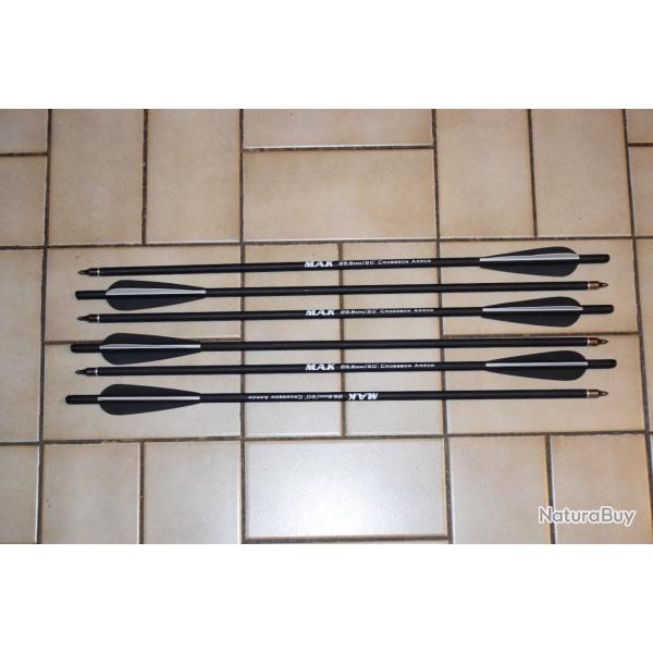 Lot de 6 Carreaux Traits Arbal�te 20"