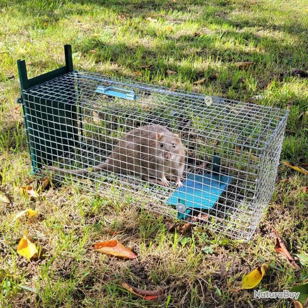 Nasse  rat - 602325 cm - Fabrication Franaise