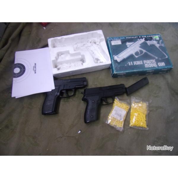 airsoft 6 mm deux  Sig et accessoires