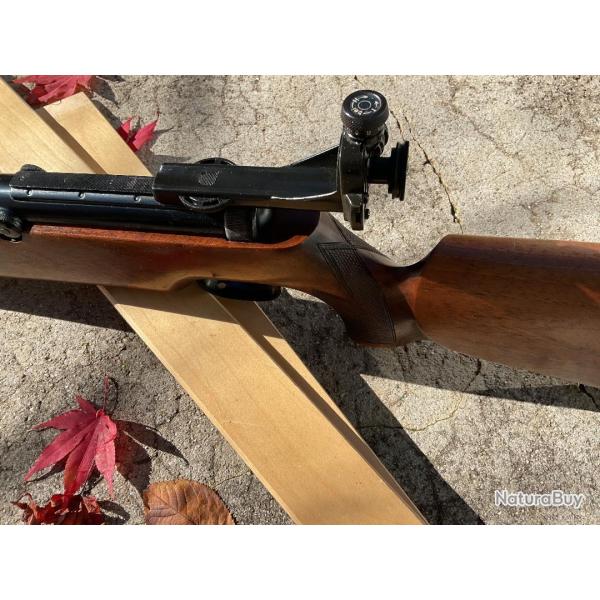 Carabine � plomb Diana