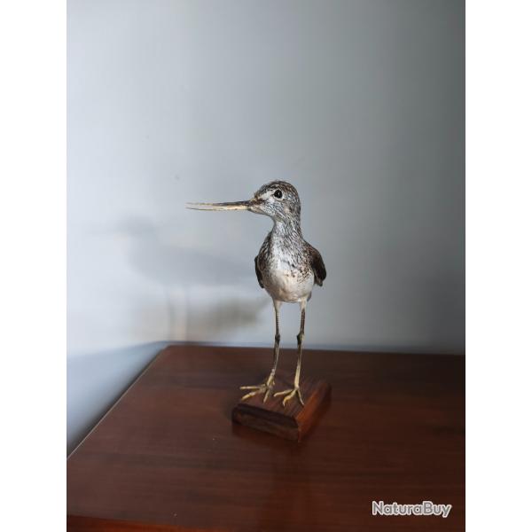 Chevalier Aboyeur naturalis�