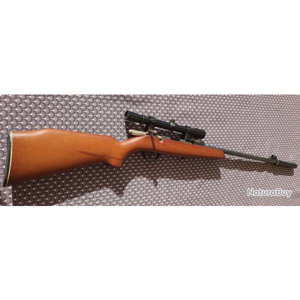 carabine 22 long rifle avec silencieux