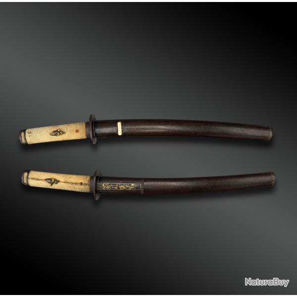 SABRE appel� Wakizashi - Japon - P�riode Edo (1603-1868)