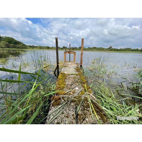 Proprit de chasse et de loisirs en Brenne (36)