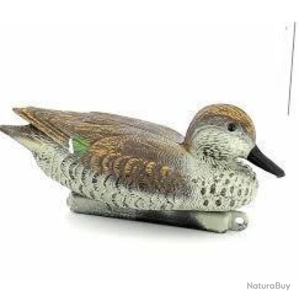 Appelant sarcelle Stepland - Femelle