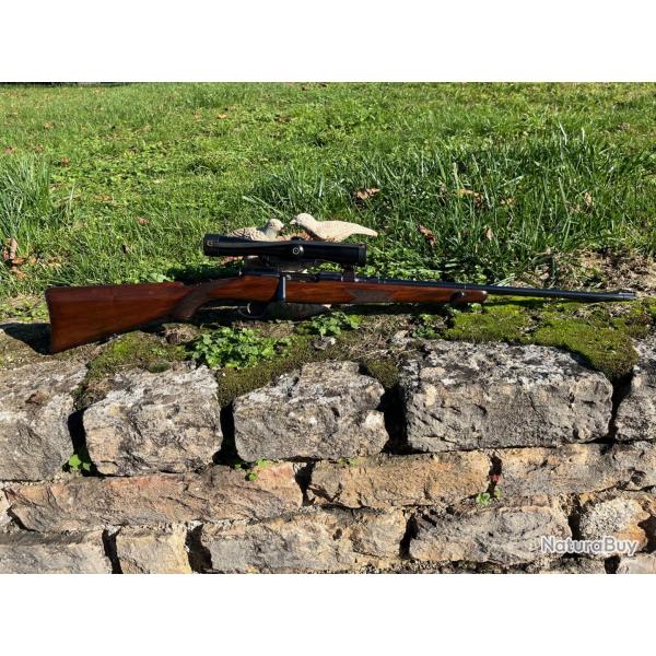 Superbe Schnauer 1903 take down tat MINT!