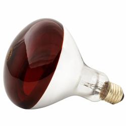 Ampoule infrarouge pour &eacute;leveuse 100 W