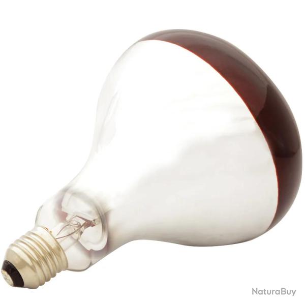 Ampoule infrarouge pour �leveuse 60 W