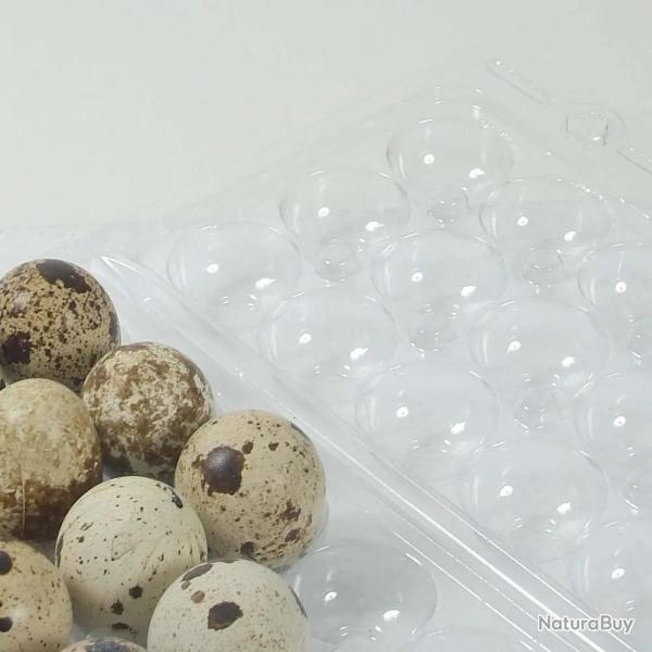Boites � oeufs de caille plastique 18 oeufs lot de 500