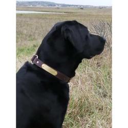 Collier &agrave; graver sur plaque laiton cuir chocolat 2 tailles Taille 1