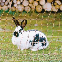 Filet &eacute;lectrifiable pour lapins 25m H0,65m simple pointe Kerbl