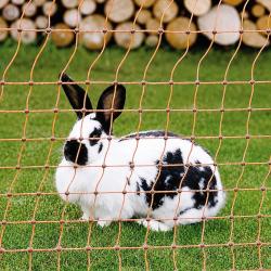 Filet &eacute;lectrifiable pour lapins 25m H0,65m simple pointe Kerbl