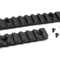 KIT RAIL POUR AAP-01 ASSASSIN