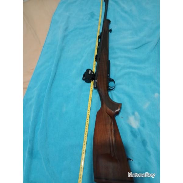 Carabine � verrou 300 Win mag antonio zoli avec point rouge