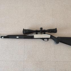 carabine semi auto 22lr
