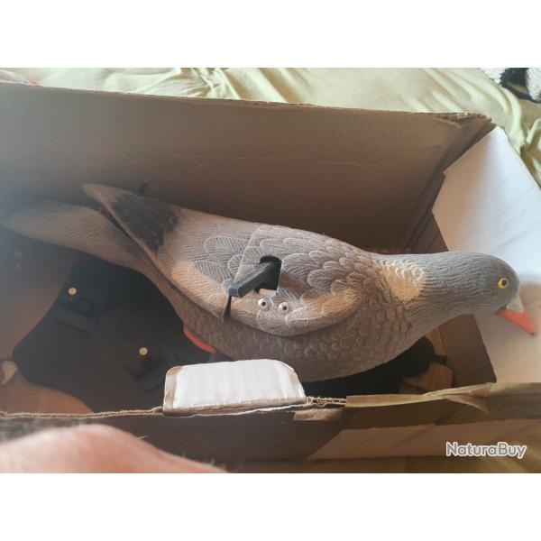 Pigeon  ailes battantes lectrique