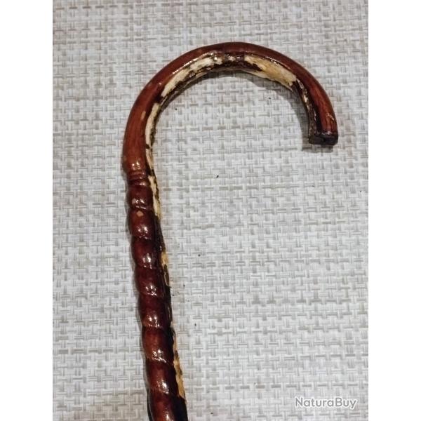 Canne de maquignon de d�fense en nerf de boeuf - vernie N�2