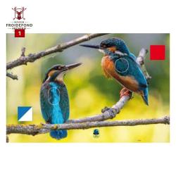 Blasons doubles petits animaux - Ai2M - 1