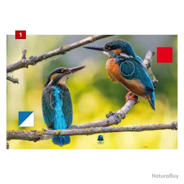 Blasons doubles petits animaux - Ai2M - 1