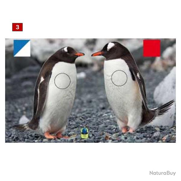 Blasons doubles petits animaux - Ai2M - 3