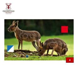 Blasons doubles petits animaux - Ai2M - 4