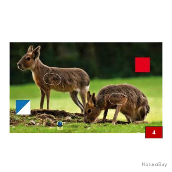 Blasons doubles petits animaux - Ai2M - 4