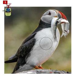 Blasons petits animaux 0 - Ai2M - 1