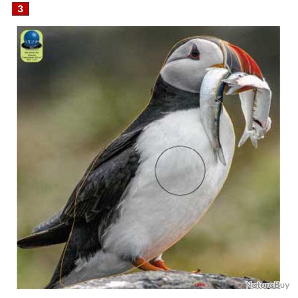 Blasons petits animaux 0 - Ai2M - 1