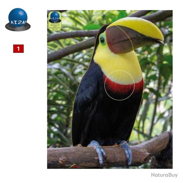 Blasons petits animaux 0 - Ai2M - 2