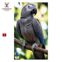 Blasons petits animaux 0 - Ai2M - 4