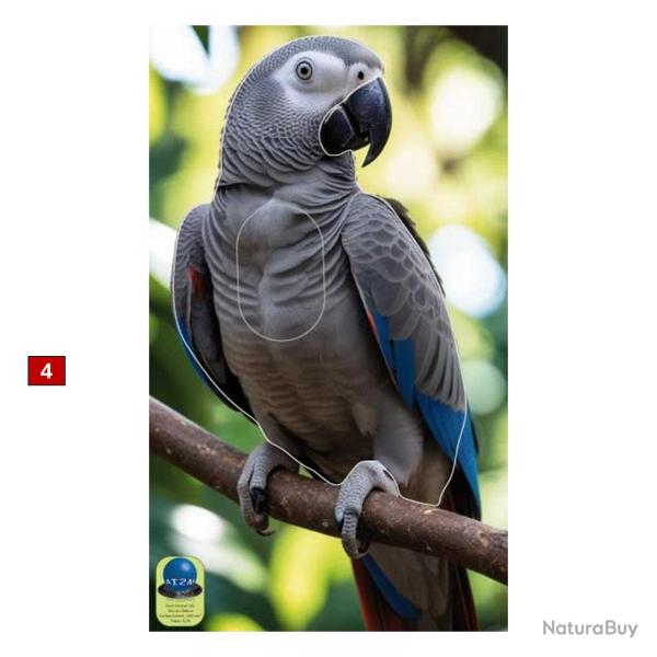 Blasons petits animaux 0 - Ai2M - 4