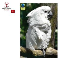 Blasons petits animaux 0 - Ai2M - 5