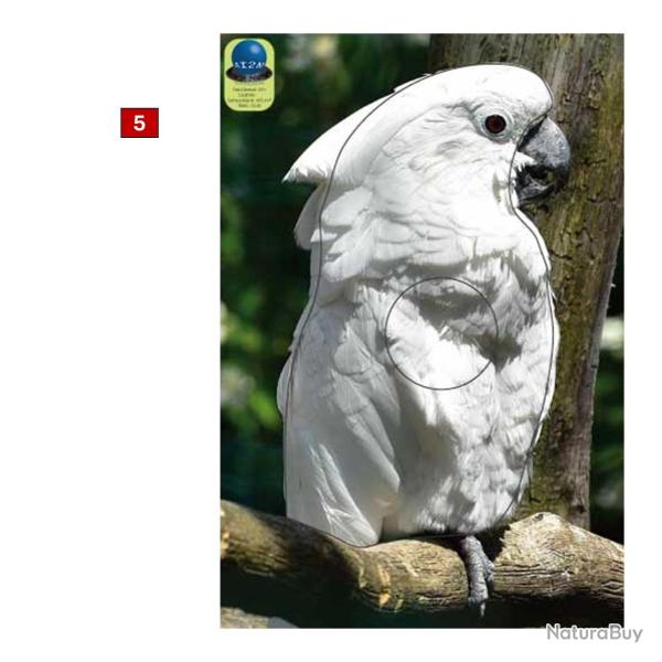 Blasons petits animaux 0 - Ai2M - 5