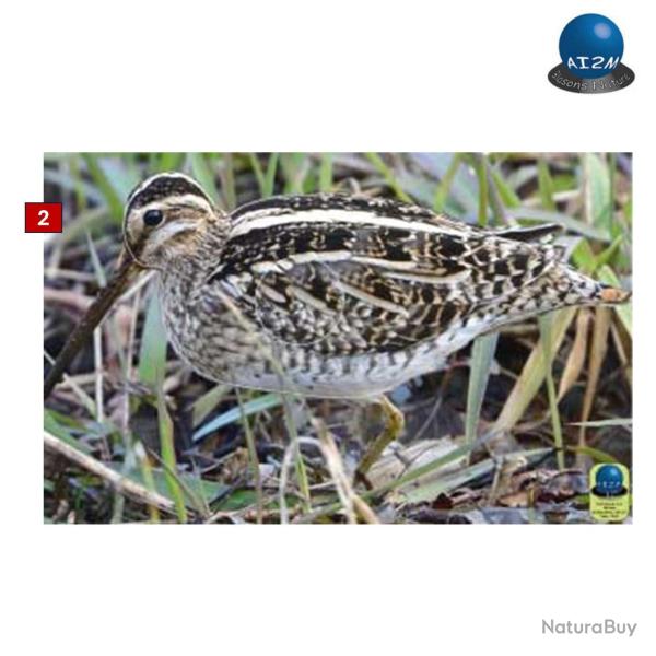 Blasons petits animaux 1 - Ai2M - 2