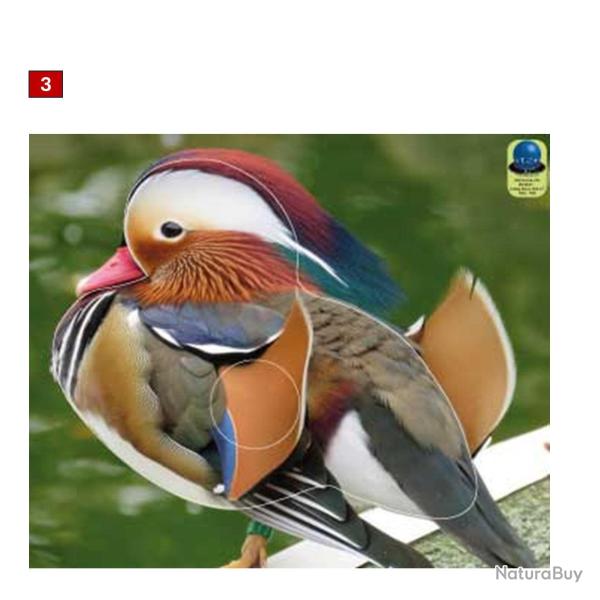 Blasons petits animaux 2 - Ai2M - 3